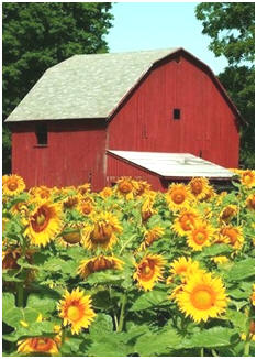 Check out dozens of free plans for small barns. Download any and all directly from the designers' web sites and from US and Canadian government services.
