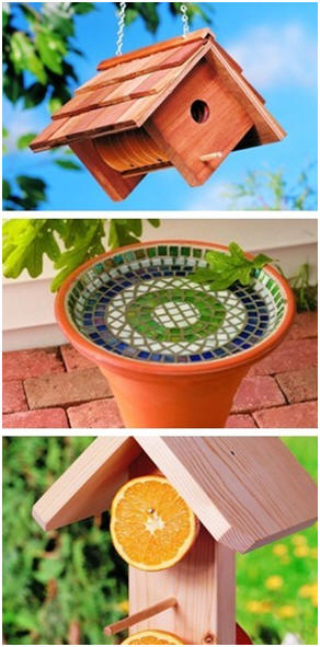 Attract Beautiful Songbirds to Your Yard - Build any of thirty-five different styles of bird houses, bird feeders and bird baths with free, DIY project plans from BirdsAndBlooms.com