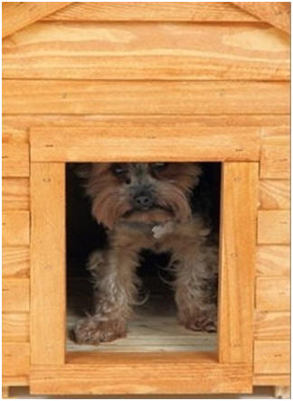 Free Doghouse Plans: Here's a bunch of free doghouse plans from all over the Internet. You can check them out and then build your favorite for your pet.