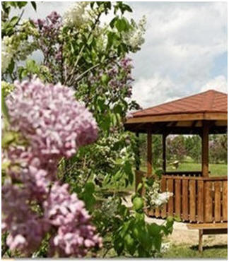 Free Gazebo and Pergola Plans and Building Guides - Here are a bunch of free plans and building guides, from all over the Internet, to help you build your own backyard gazebo or shady pergola.
