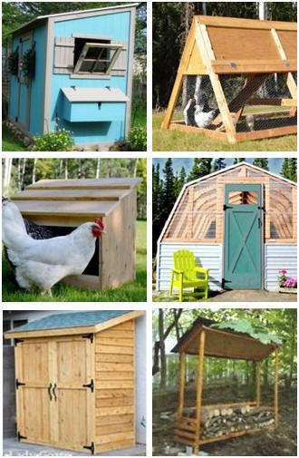 Free chicken coop, chicken tractor, nesting box, greenhouse, woodshed and lean-to storage shed plans from Ana-White.com