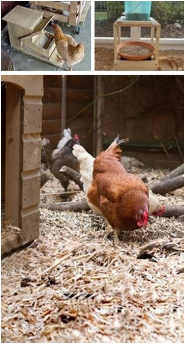 Automatic Chicken Feeder and Waterer Designs at BackyardChickens.com - Get design ideas and free building plans for any of thirty-eight clever designs for automatic waterers and feeders for your chickens.