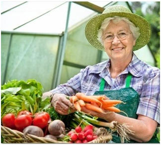 Help yourself to lists and lists of helpful gardening how-tos and backyard project plans at DIYCozyHome.com